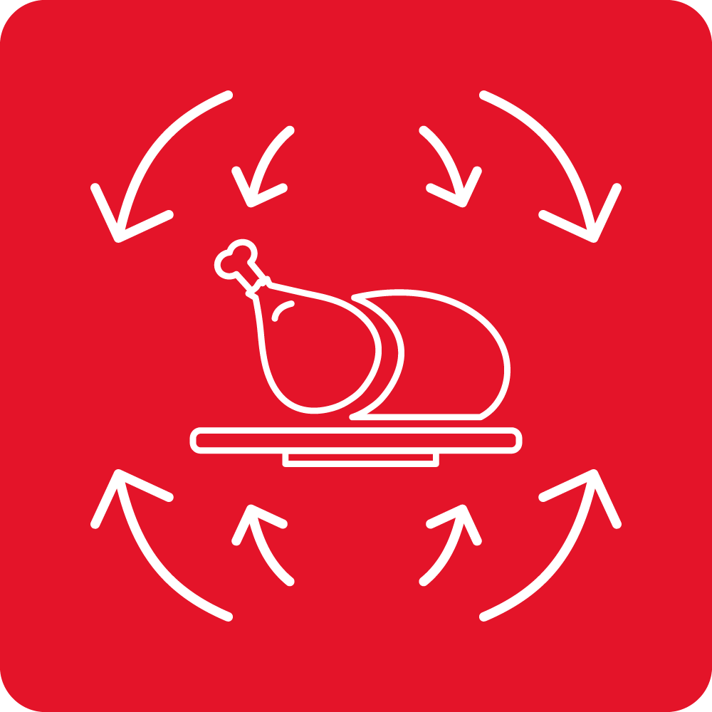 Ravnomerno pečenje na više nivoa